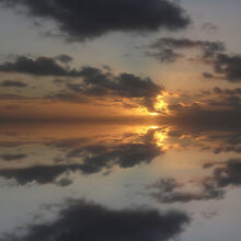 A Golden Moment 1